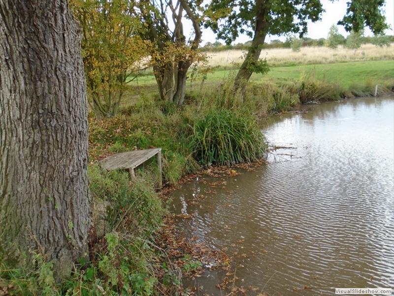 Tollerton Fishing Lake